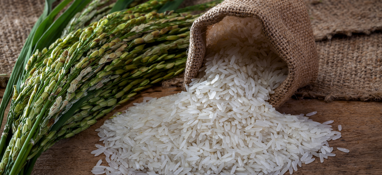 Rice