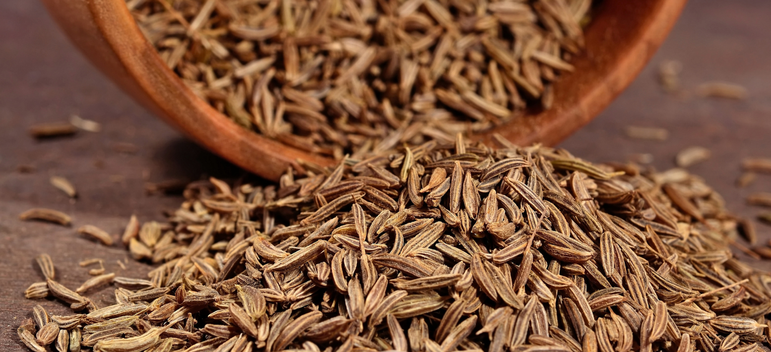 Cumin Seeds