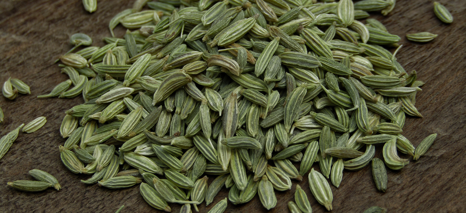 Fennel Seeds