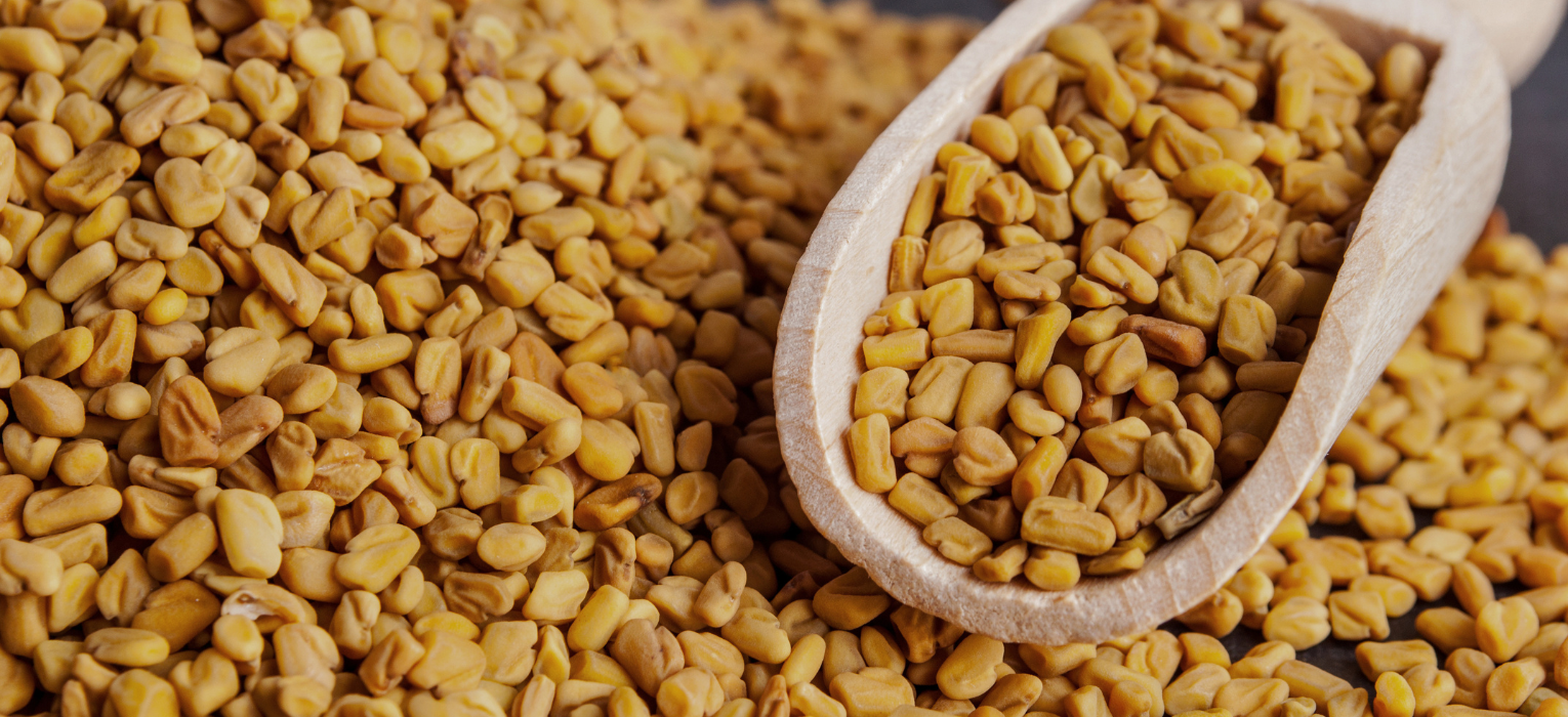 Fenugreek Seeds